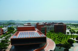 solar panels China