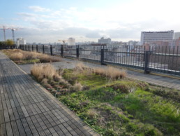 Green space in Paris, infrastructure designed for climate change.