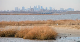 View of New York city from afar.