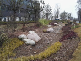 Sponges in Wuhan, part of the city's 15 year climate protection plan.