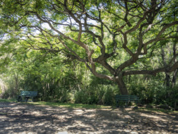 A park in Buenos Aires.