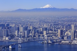 Aerial view of Tokyo.