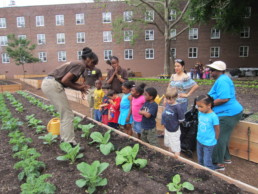 Children learning about farming and plants in New York City.