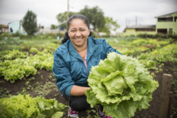 Woman farming in Curritiba.