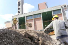 Men working in the Buenos Aires' Environmental Park.