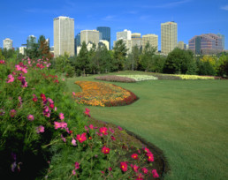 Aerial view of Edmonton.