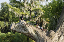 Child on a tree trunk. New Orleans