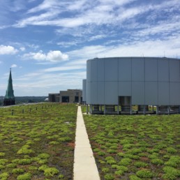 Washington D.C. is retrofitting municipal roofs for climate protection.