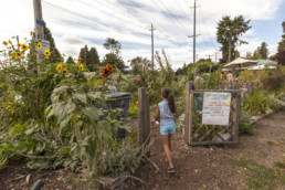 Urban farm in Vancouver, BC.