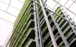 Side view of vertical urban farming by Sky Greens.