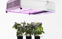 Lighting System ‘Listens’ to Plants