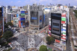 Aerial view of downtown Tokyo.