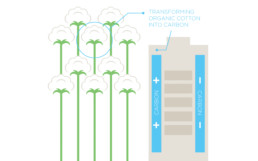 Non-Toxic Battery Made of Carbon Sourced from Cotton