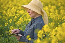 Farmer using new technology to plant and harvest. Smart Farming