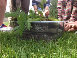 Adults and children planting trees in Gibsons.