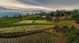 View of pastures and farm land.