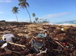 Landfill with discarded plastic.