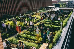 Denmark's first ever rooftop farm brings local food production to Copenhagen.