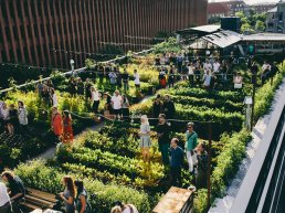 Denmark's first ever rooftop farm brings local food production to Copenhagen.