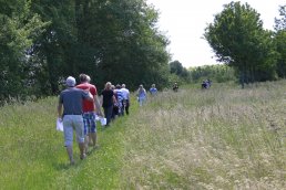 Residents of Hvidovre Municipality walking outdoors.