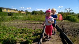 Children playing in a vegetable garden in Aalborg Municipality.