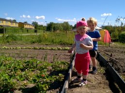 Children playing in a vegetable garden in Aalborg Municipality.