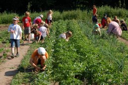 Children gardening in a school garden in Copenhagen