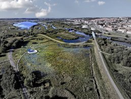 Aerial view of a wetland in the district of Vorup in Randers Municipality. It helps protect the city from water from above, below and from the sea.