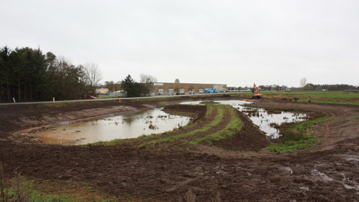 A constructed wetland in the Tønder Municipality will help solve rainwater problems