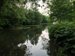 The historical Rævedam stream back to the surface in Tommerup.