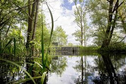 Usserød stream