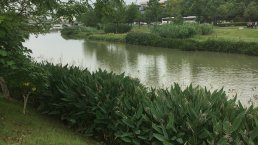 Park with a lake in CHANGDE, Hunan for mproved climate resiliency