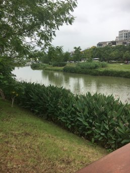 Park with a lake in CHANGDE, Hunan for mproved climate resiliency
