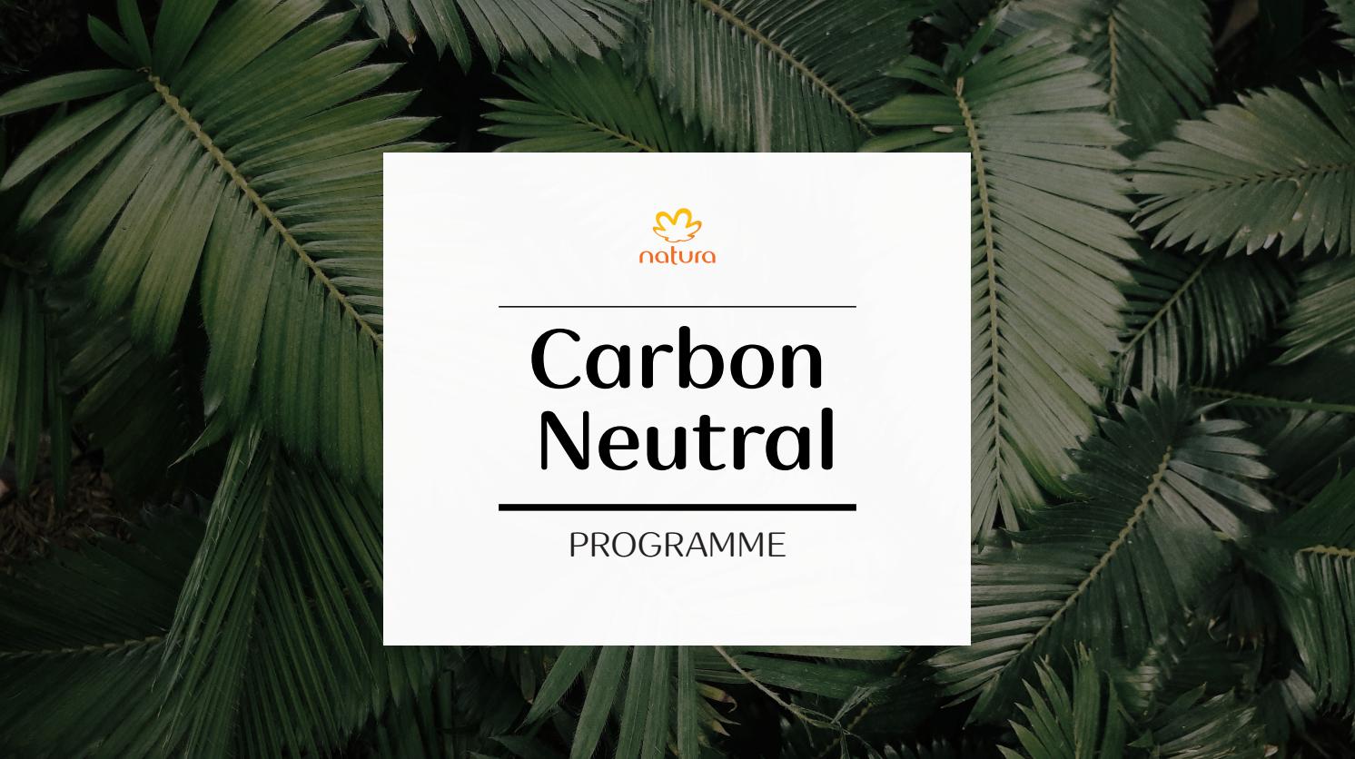 Circular Carbon in the Amazon | Global Opportunity Explorer