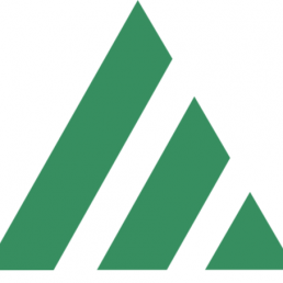 FRI design logo