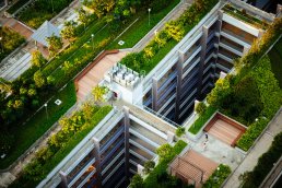 Beijing’s rooftop garden for low carbon pilot communities