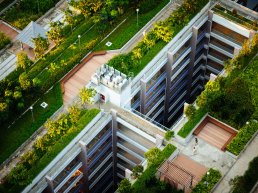 Beijing’s rooftop garden for low carbon pilot communities