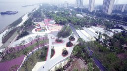 As green areas account for 70% of the Yangtze River Beach Park, the local environment is improved and carbon sequestration increased.